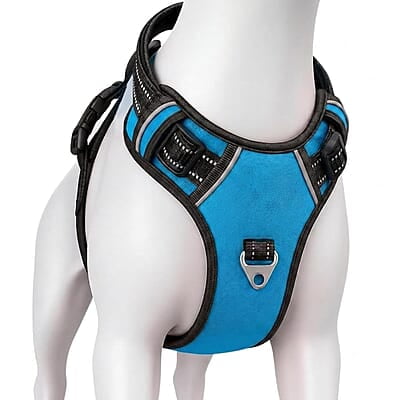 Premium No-Pull Dog Harness with Leash-M-Blue Premium No-Pull Dog Harness with Leash-M-Blue