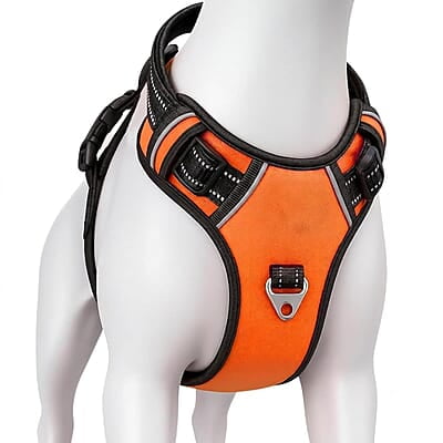 Premium No-Pull Dog Harness with Leash- L- Orange Premium No-Pull Dog Harness with Leash- L- Orange