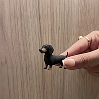 Weeny - The Dog