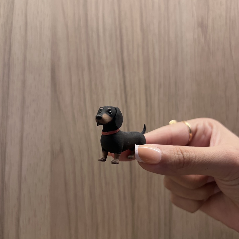 Weeny - The Dog