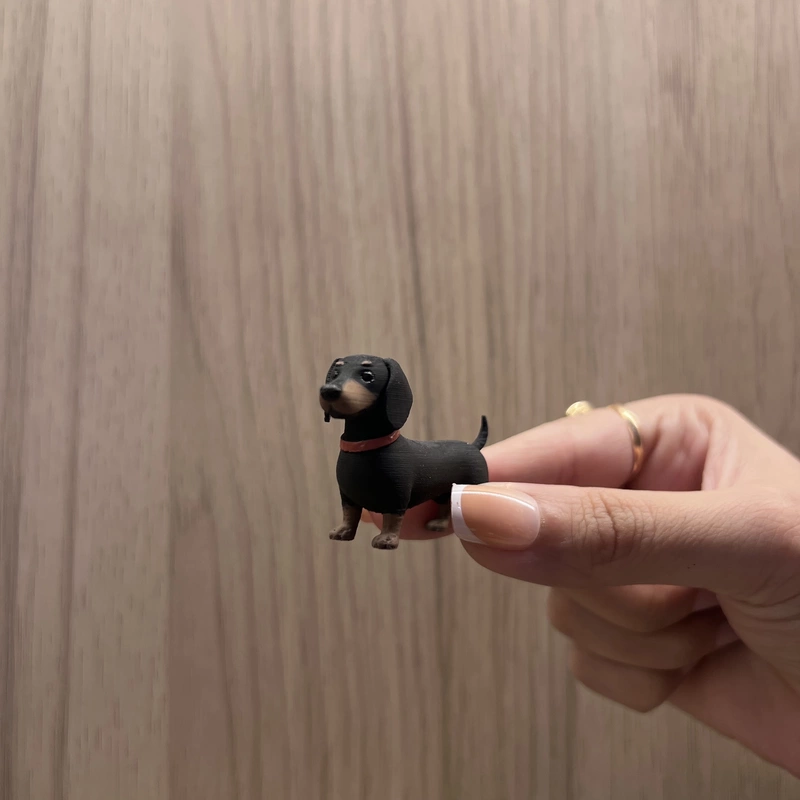 Weeny - The Dog