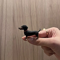 Weeny - The Dog