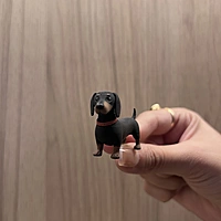 Weeny - The Dog