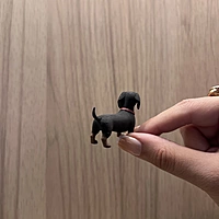 Weeny - The Dog