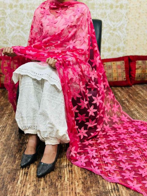 Chikankari Afghani Dupatta Set