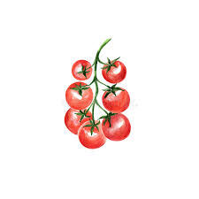 Cherry Tomatoes