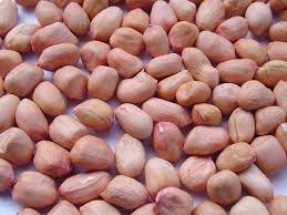 Groundnuts