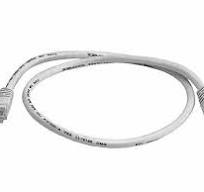 Amp Cat6 2Mtr Patch Cord Blue Colour