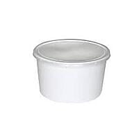 Plastic Container