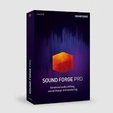 Magix Sound Forge Pro 16 Academic ESD (Enduser PO required)