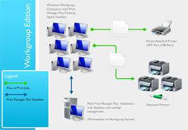 Print Manager Plus Enterprise Small Business Edition License (5 Printers/35 users) (ESD)