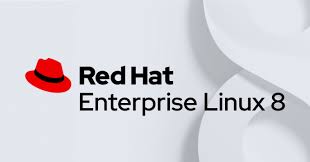 Redhat Enterprise Linux 8.x Standard (2 soc / 1phy or 2vm) (1yr upd/sup) ESD