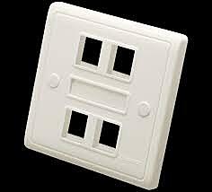 Delton Unshuttered Face Plates quad Port (DLT-FPQWS)