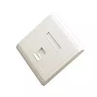 Delton Shuttered Face Plates single Port (DLT-FPSMS)
