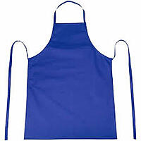 Plastic Apron