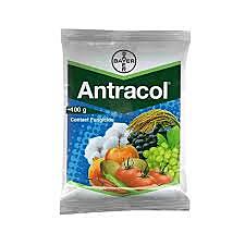 Antracol Fungicide – Propineb 70% WP for Vegetables, Fruits & Paddy(Bayer)