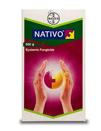 Bayer Nativo Fungicide – Tebuconazole 50% + Trifloxystrobin 25% WG