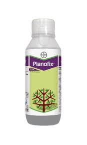 Bayer Planofix Plant Growth Regulator (Alpha Naphthyl Acetic Acid 4.5% SL)