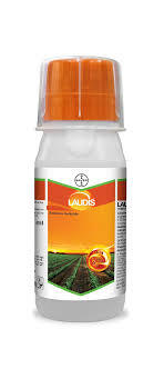 Laudis Herbicide – Tembotrione 34.4% SC for Broadleaf & Grassy Weeds(Bayer)