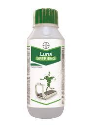 Luna Experience Fungicide – Broad-Spectrum Disease Control by Bayer