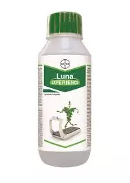Luna Experience Fungicide – Broad-Spectrum Disease Control by Bayer