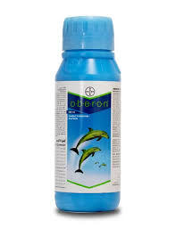 Oberon Insecticide (Spiromesifen 240 SC) - Control Mites & Whiteflies(Bayer)