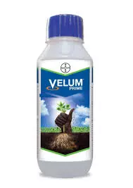 Velum Prime Nematicide Fluopyram 34.48% SC – Root Knot Nematode Control(Bayer)