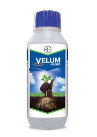 Velum Prime Nematicide Fluopyram 34.48% SC – Root Knot Nematode Control(Bayer)