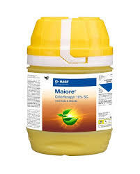 Maiore Insecticide(BASF)
