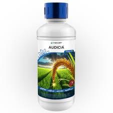 Audicia(PARIJAT)