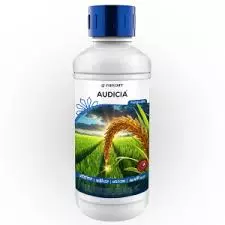 Audicia(PARIJAT)