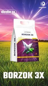 Borzok 3X(parijat)