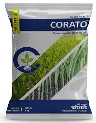 Corato (parijat)