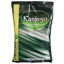 Kanjo SP (parijat)