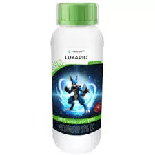 Lukario(parijat)