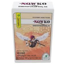 Nowko(parijat)