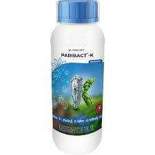 Paribact K(parijat)