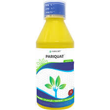 Pariquat(parijat)