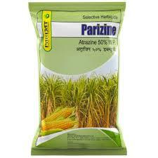 Parizine(parijat)