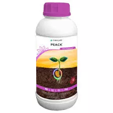 Peack(parijat)