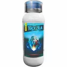 Tuckzila(parijat)