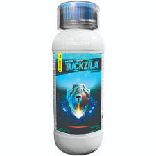 Tuckzila(parijat)