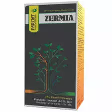Zermia(parijat)