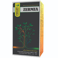 Zermia(parijat)
