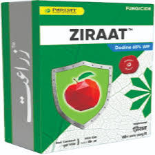Ziraat(parijat)
