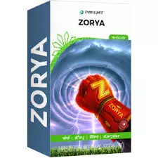Zoryo(parijat)
