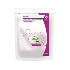 Agas(ADAMA)