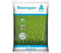BLASTOGAN (ADAMA)