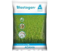 ADAMA Blastogan Tricyclazole 75% WP Rice Blast Fungicide
