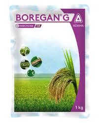 BOREGAN GR (ADAMA)